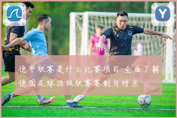 德甲联赛是什么比赛项目 全面了解德国足球顶级联赛赛制与特点