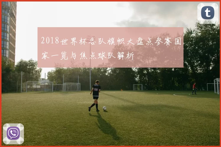 2018世界杯各队旗帜大盘点参赛国家一览与焦点球队解析