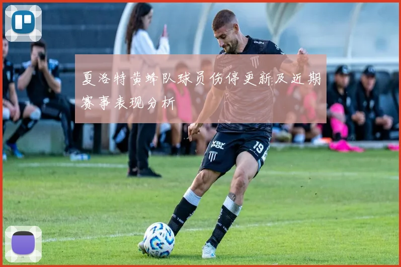 夏洛特黄蜂队球员伤停更新及近期赛事表现分析