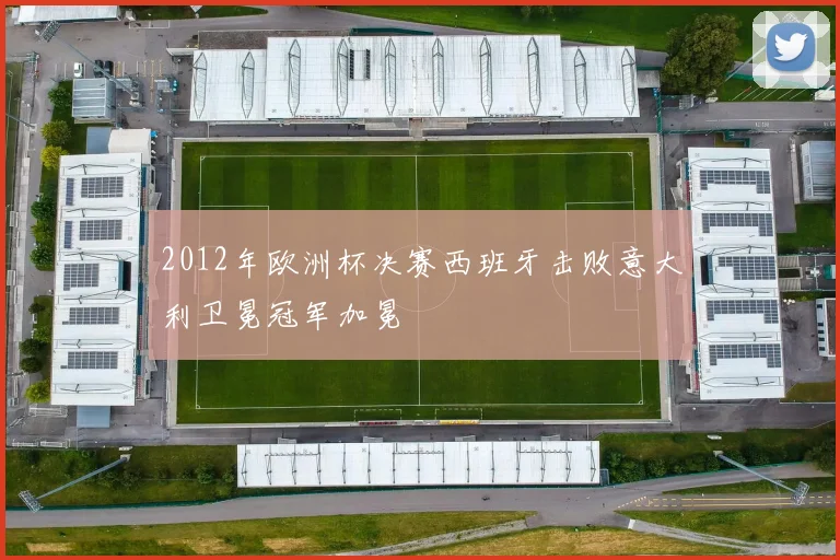 2012年欧洲杯决赛西班牙击败意大利卫冕冠军加冕