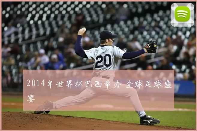2014年世界杯巴西举办 全球足球盛宴