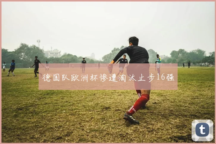 德国队欧洲杯惨遭淘汰止步16强