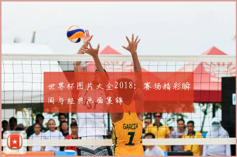 世界杯图片大全2018:赛场精彩瞬间与经典画面集锦