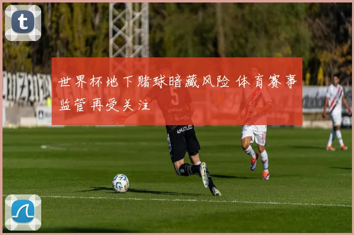 世界杯地下赌球暗藏风险 体育赛事监管再受关注